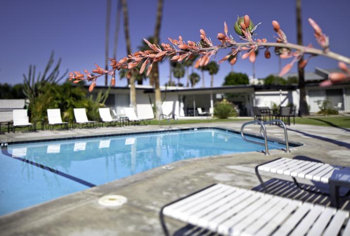 L'Horizon Resort & Spa, Hermann Bungalows Palm Springs Eksteriør billede